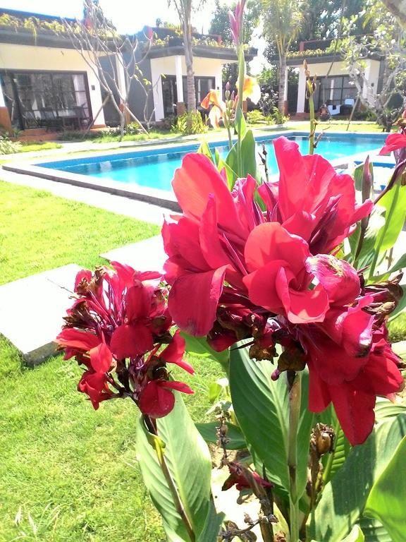 D'Mell Bali Hotel Nusa Dua  Exterior photo